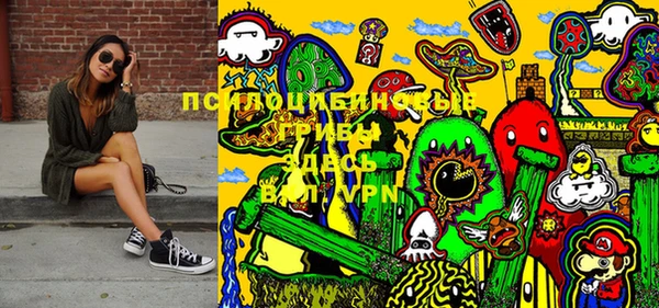 мдпв Нея