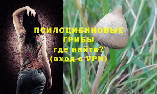 мдпв Нея
