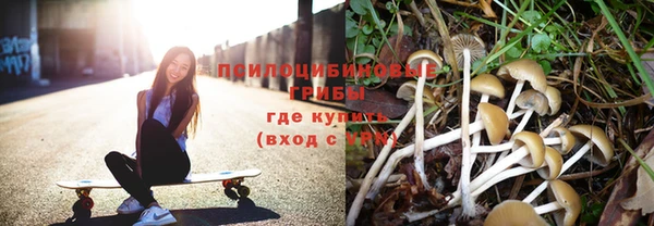 МДПВ Новозыбков