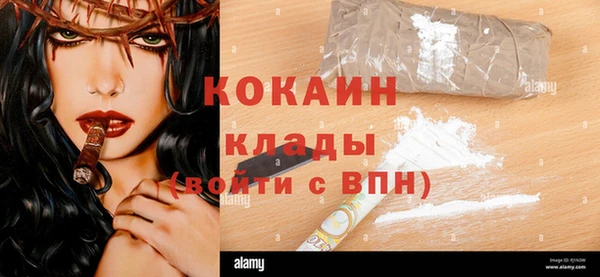 сатива Березники
