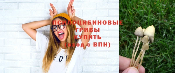 тгк Нефтекумск