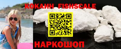 индика Пенза