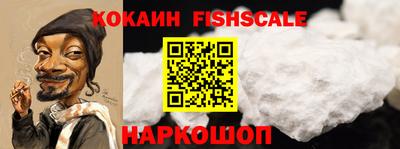 индика Пенза