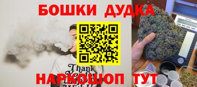индика Пенза