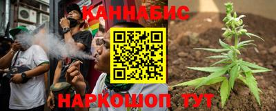 индика Пенза