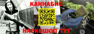 индика Пенза