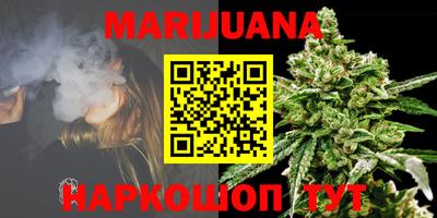 индика Пенза